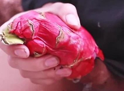 I Was So Horny I Fucked A Dragon Fruit