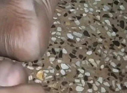 Indian Desi Girl Friend with Kissing and Sucking Pussy Hole