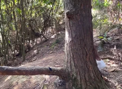 A Curious Heterosexual Boy Saw Me Masturbate in the Forest and We Ended up Fucking