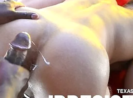 Texas Bull Stretches And Ready To Split Brogans Hole In Two Before Breeding Him