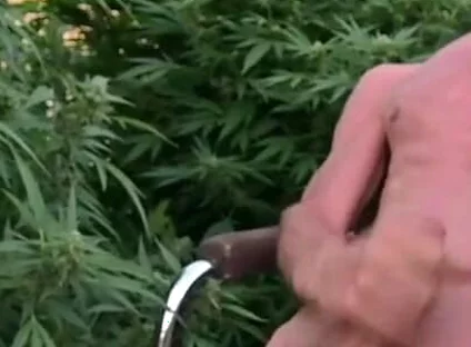 Cumshot Outdoors