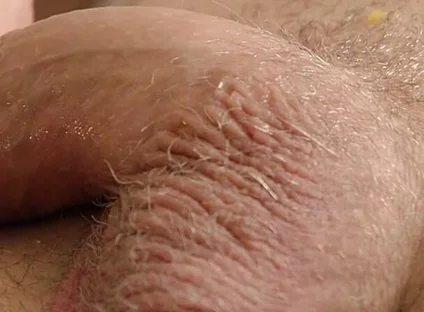 The Peach Scene