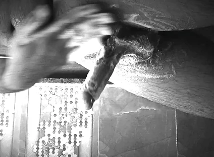 Extreme Handjob Cumshot Solo Play