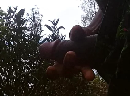 Solo Outside