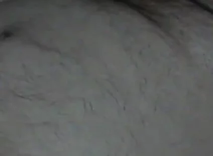 Bear Daddy Cums