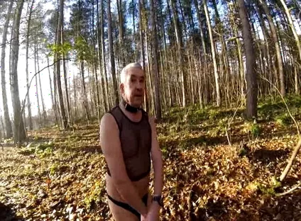 Cold Day in the Woods