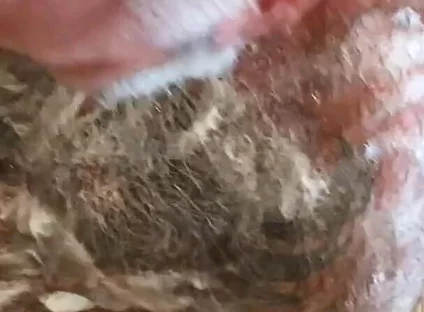 Still Dirty