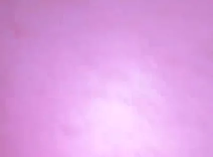 Anal Fun