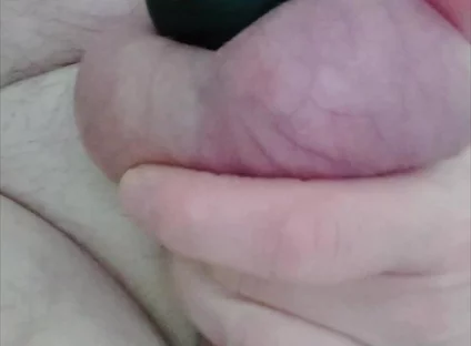 Horny Release of the Penis From the Cage