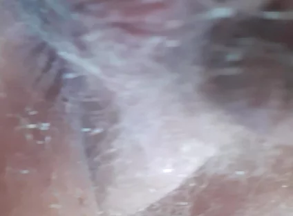 Fuck My Horny Anal Cunt