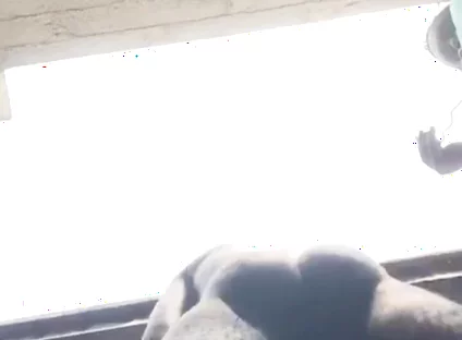 Doggy Bareback Below View