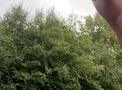 Jerking in the Woods