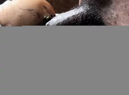 I Cum so Fast Because the Big Ass Is so Cool and Hard