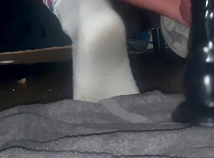 Tangaboy Stops the Asshole