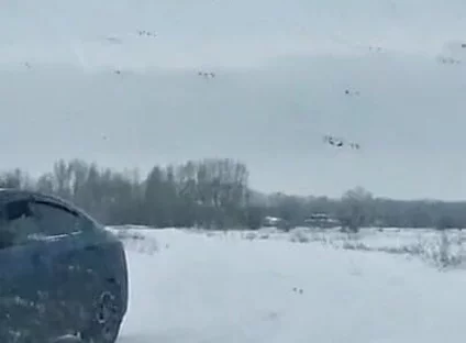 Anal Explosion of on a Taxi Driver's Dick on the Side of the Road on a Cruise