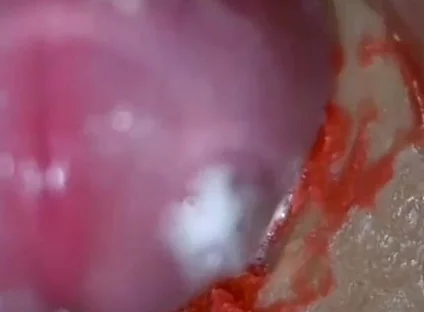 Compilation Creampie Part 1 POV