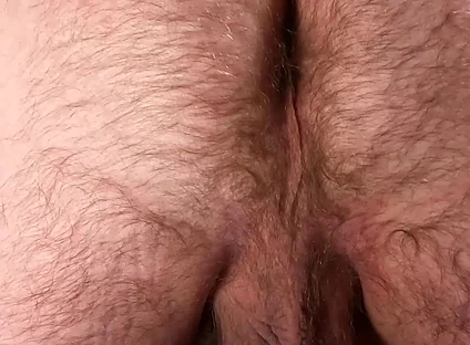 Would You Fuck That Hairy Bear Hole and Tickle Those Big Bear Balls?