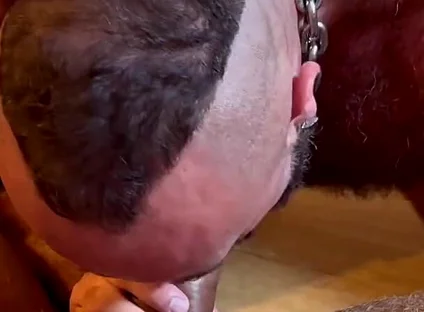 Hairy Males Fucking