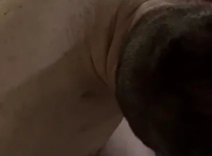 Step Daddy Drenched His Step Boy in Piss