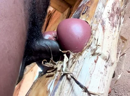 Ass Is Very Sweet in My Prison Room