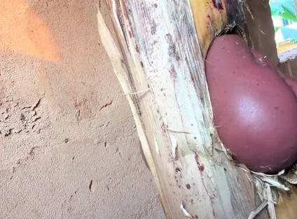 The Prisoner Find Hard Way to Sex