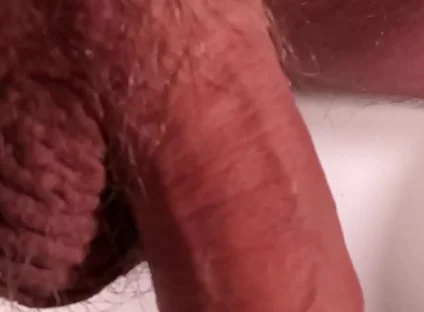 Exposed Glans, Naked and Relaxed Bear