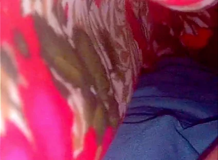 Desi Cock