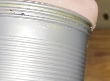 Deep Fucking My Fleshlight