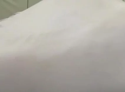 Essa Fake