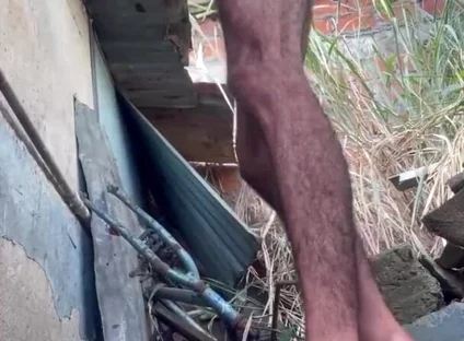 I Masturbate Behind the Neighbor's House