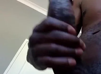 Black King 2