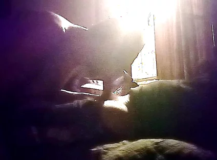 My Neighbor's Son Visits Me for Oral Sex in Secret