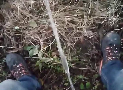 Pissing