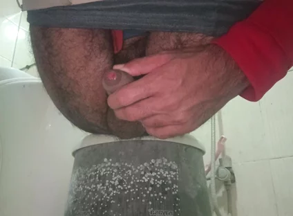 See How the Dick Slowly Gets Erect.