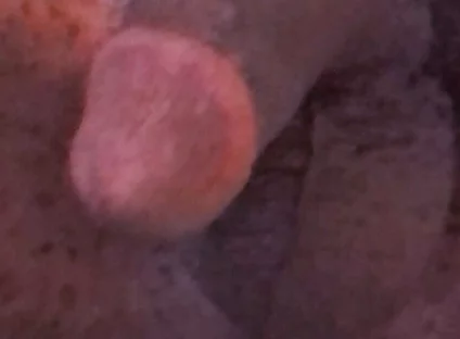 Wanna Get Fucked and Breed??