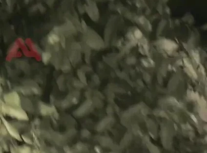Amateur Boy Sucks a Guy He Found Jerking-off in the Street