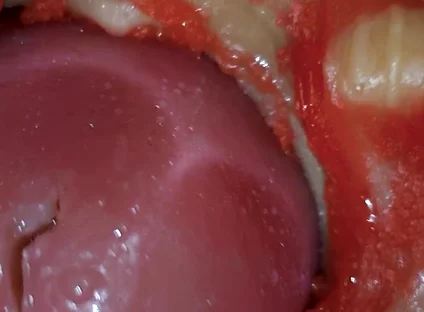 Inside POV Camera Captures an Intense Climax