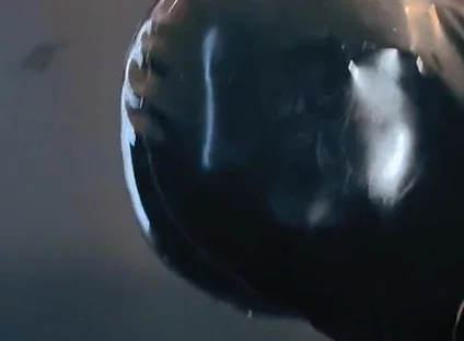 Gimp Twist