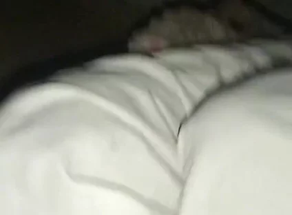 Night Time Vlog It Home and. Sex Girl Friend