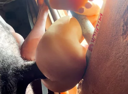 I Find a Deep Ass Xxvideo