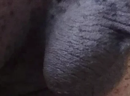 Come See My Hairy Huge Balls