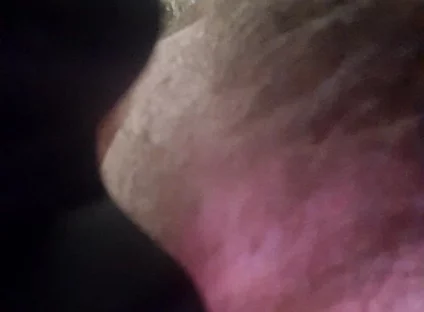 Licking Boots