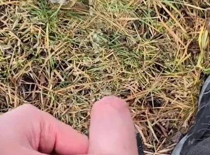 A Bit Risky Peeing - POV Outdoor Male Pee During a Nature Walk