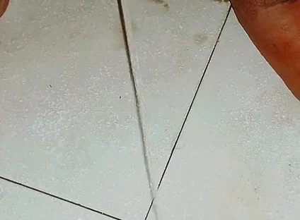 Pissing in Girls Bathroom
