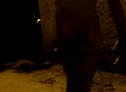 Crusing in a Park at Night - Getting Naked 2