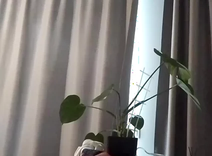 Home Masturbation
