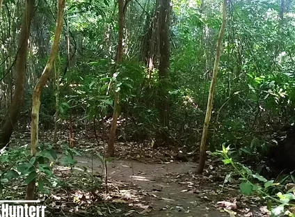 Cumming in the Park