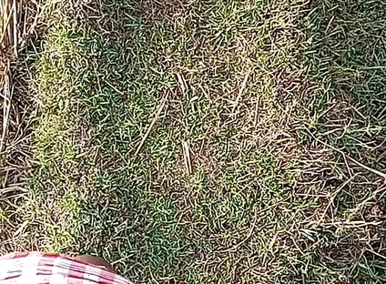 Gay Boy Outdoor Night Pussy Hole Sucking