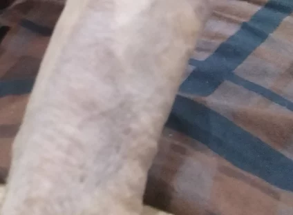 Handsome Boy Masturbation