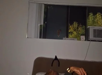 Late Night Dildo & Wank Sesh